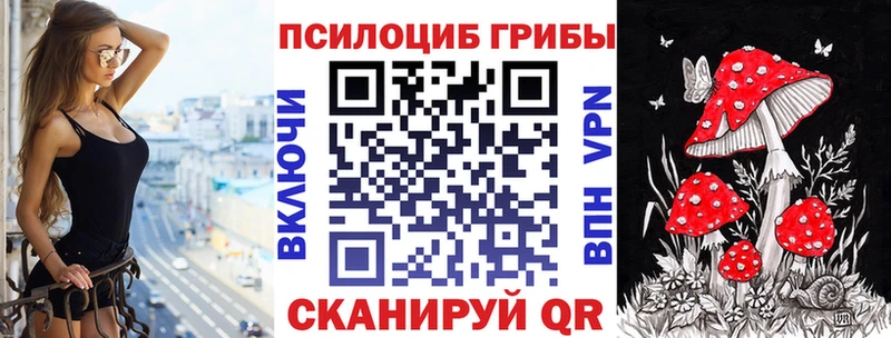 hydra ссылка  Чекалин  Псилоцибиновые грибы Psilocybine cubensis 